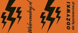 Lightning Endurance Bidon - Oranje - 500 ml