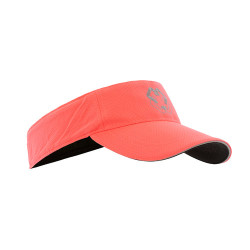 ARCh MAX Visor - Roze